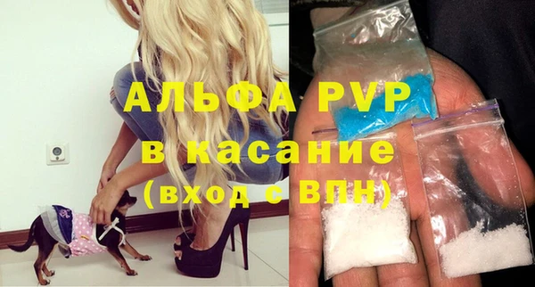 гашик Новодвинск