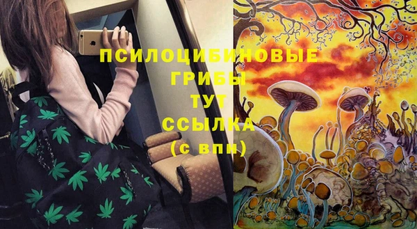 jwh Новокубанск