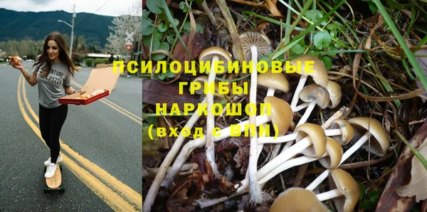 jwh Новокубанск
