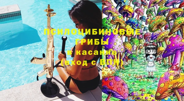 гашик Новодвинск