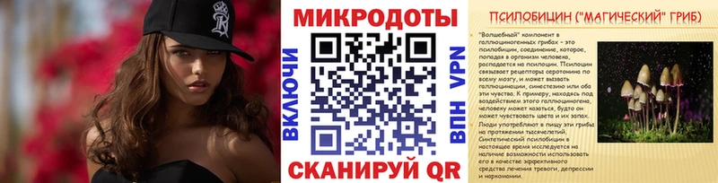 где купить   Южа  Галлюциногенные грибы мухоморы 
